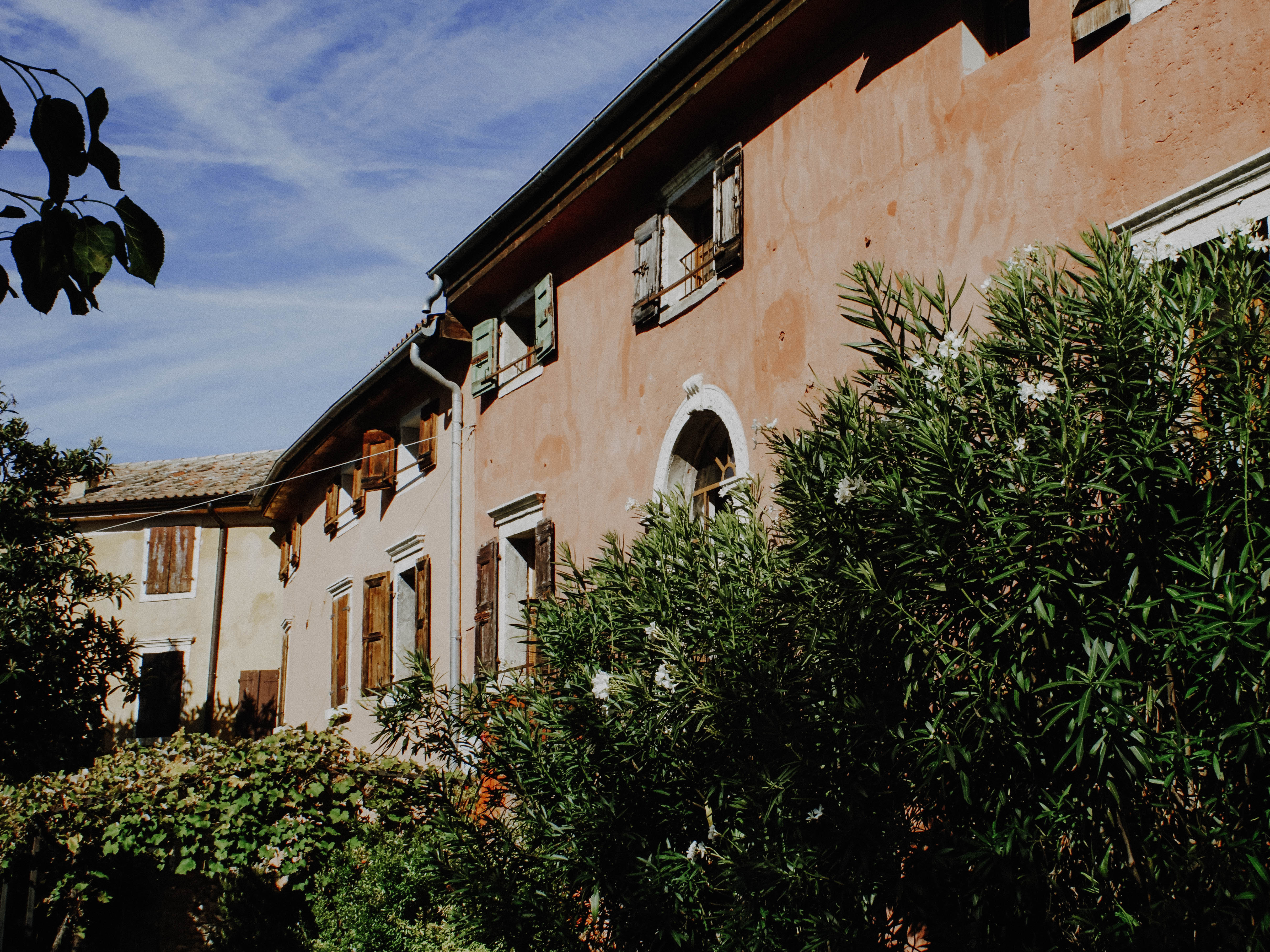Wuchernde Pflanzen verdecken das Haus unter blauem Himmel